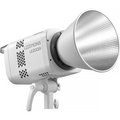 Godox LE200Bi — каталожное фото товара на белом фоне